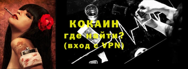 ешки Алексин