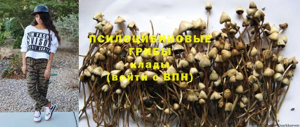 ешки Алексин