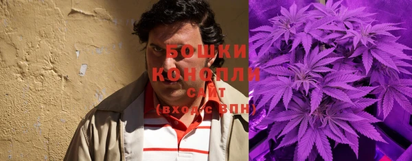 ешки Алексин