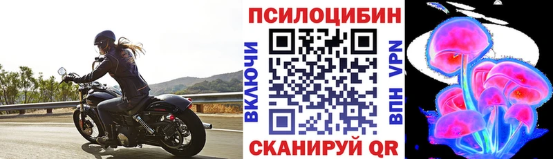 Псилоцибиновые грибы GOLDEN TEACHER  Малаховка 